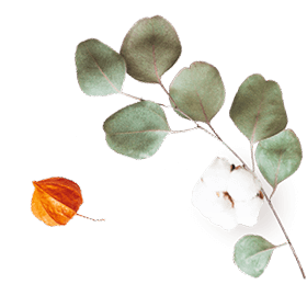 https://www.hitchedonthetaylor.com/wp-content/uploads/2020/10/floating_image_07-1.png