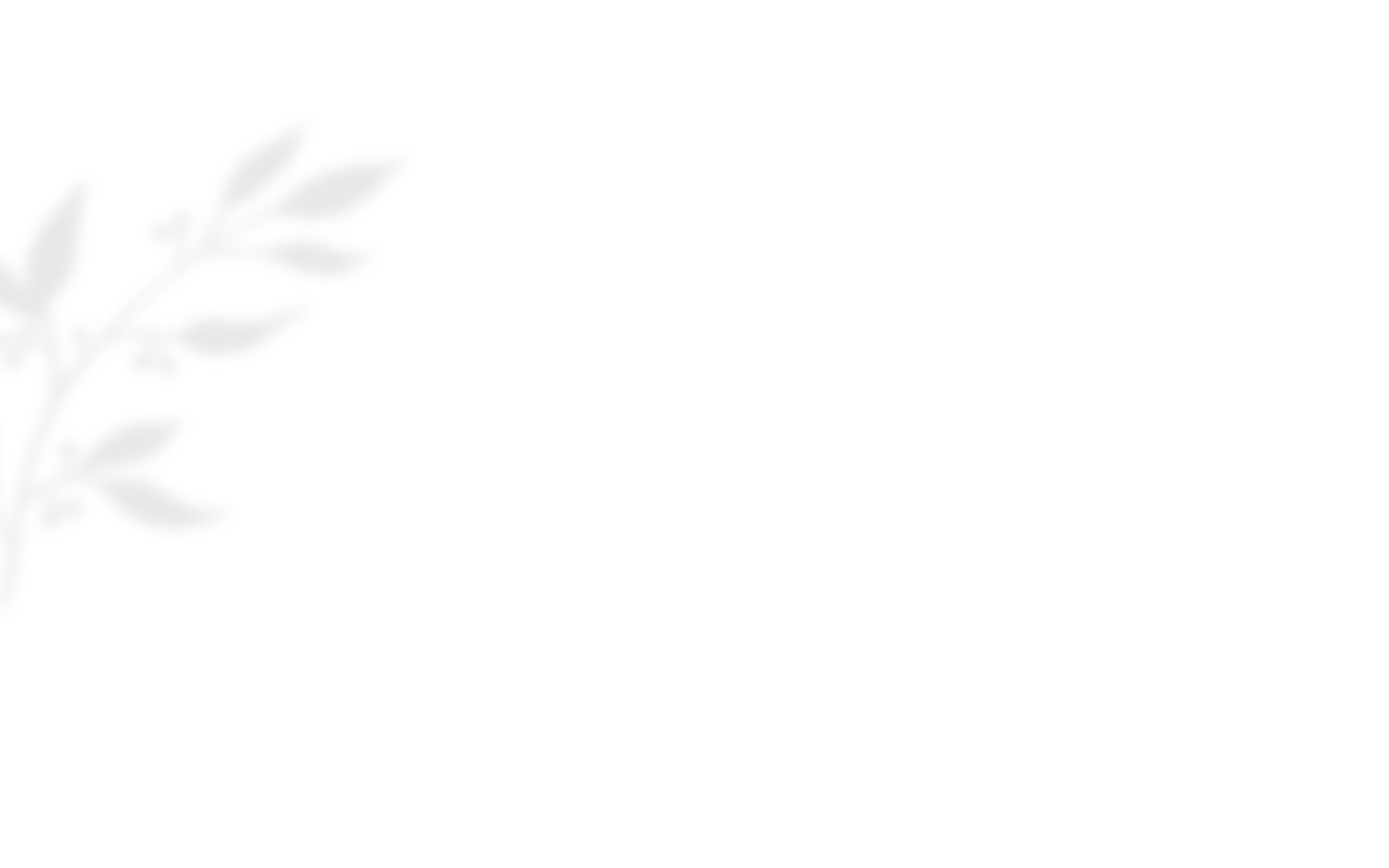 shadow_leaves_03 https://www.hitchedonthetaylor.com/wp-content/uploads/2020/10/shadow_leaves_03.png