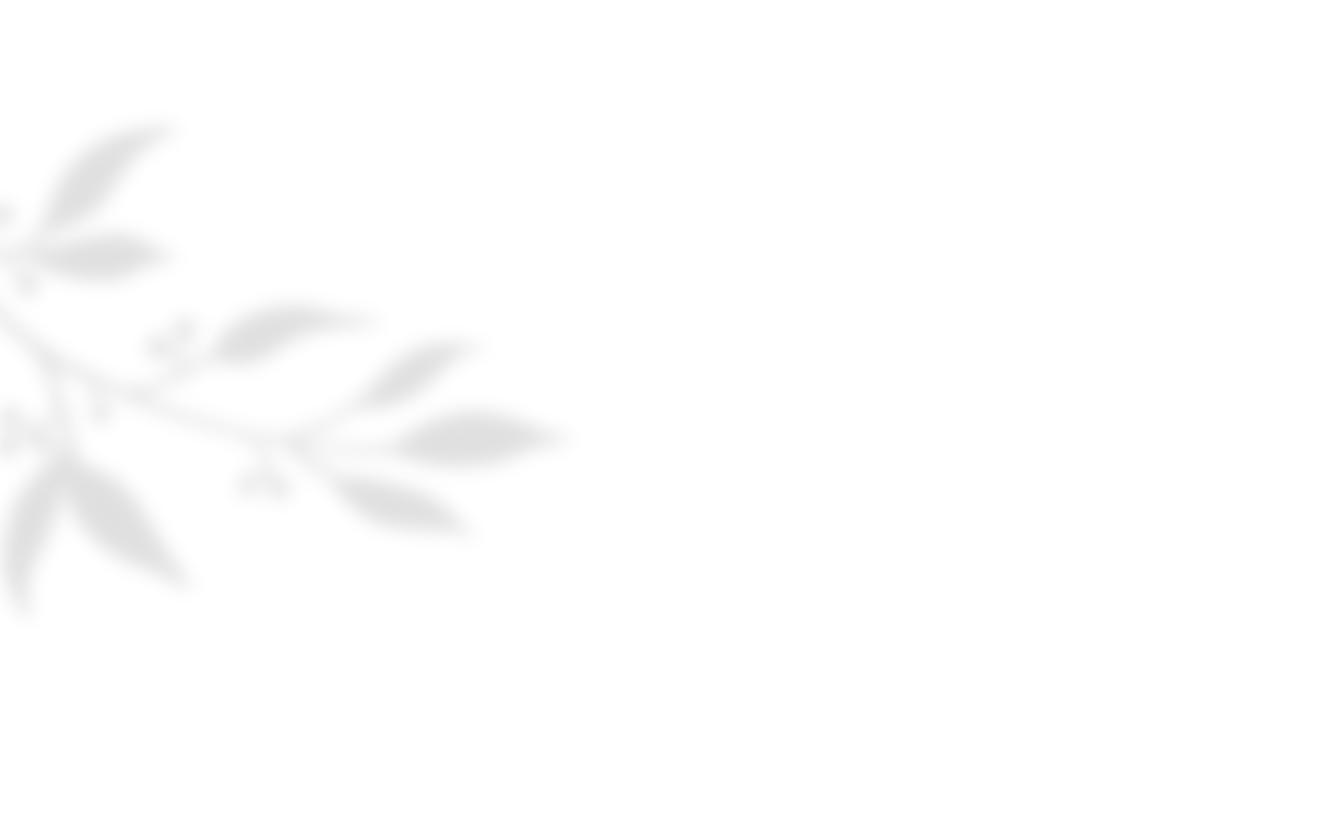 shadow_leaves_04 https://www.hitchedonthetaylor.com/wp-content/uploads/2020/10/shadow_leaves_04.png