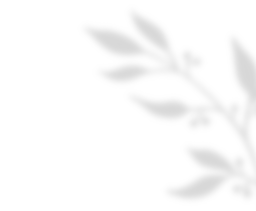shadow_leaves_01 https://www.hitchedonthetaylor.com/wp-content/uploads/2020/11/shadow_leaves_01.png