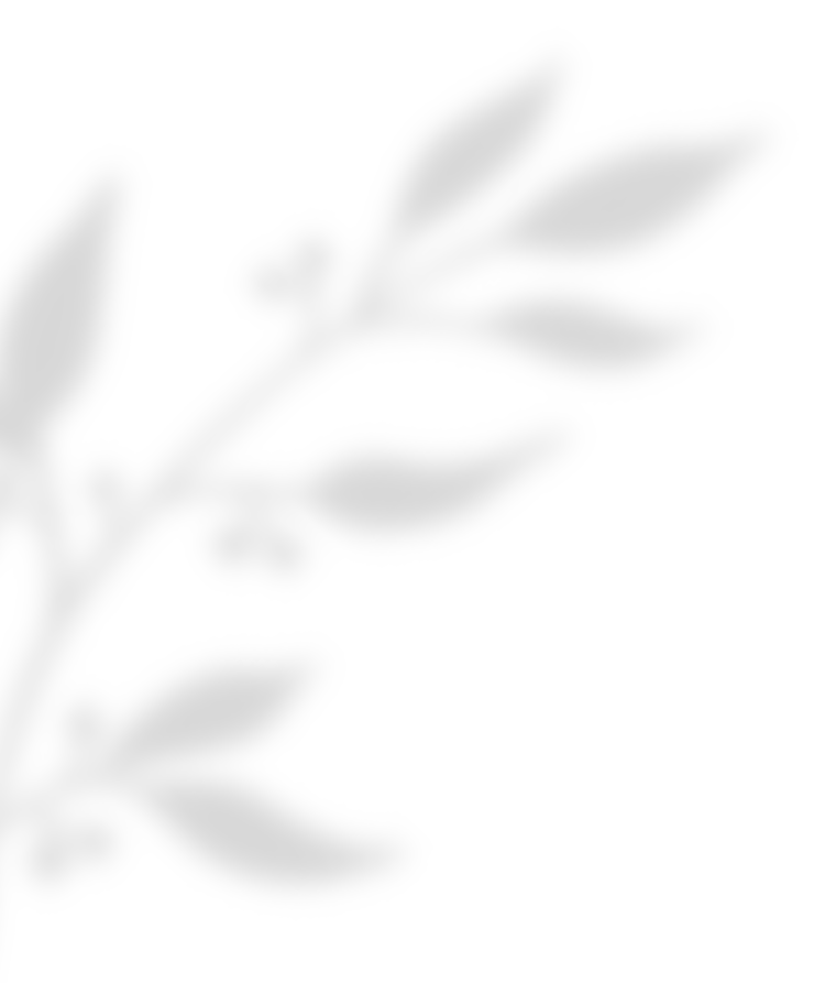 https://www.hitchedonthetaylor.com/wp-content/uploads/2020/11/shadow_leaves_02.png