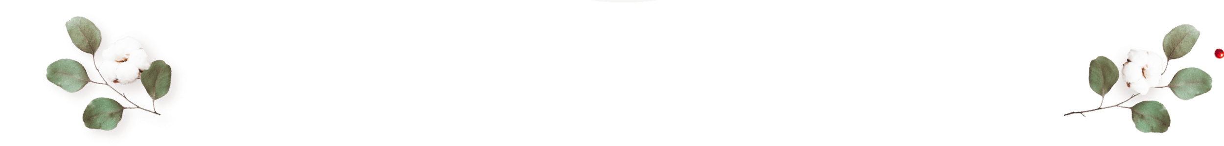 https://www.hitchedonthetaylor.com/wp-content/uploads/2020/12/floating_image_couples_02.png