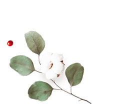 https://www.hitchedonthetaylor.com/wp-content/uploads/2020/12/floating_image_flower_01.png