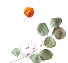 https://www.hitchedonthetaylor.com/wp-content/uploads/2020/12/floating_image_flower_02.png