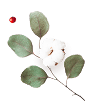 https://www.hitchedonthetaylor.com/wp-content/uploads/2020/12/floating_image_flower_03.png
