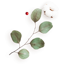 https://www.hitchedonthetaylor.com/wp-content/uploads/2020/12/floating_image_flower_04.png