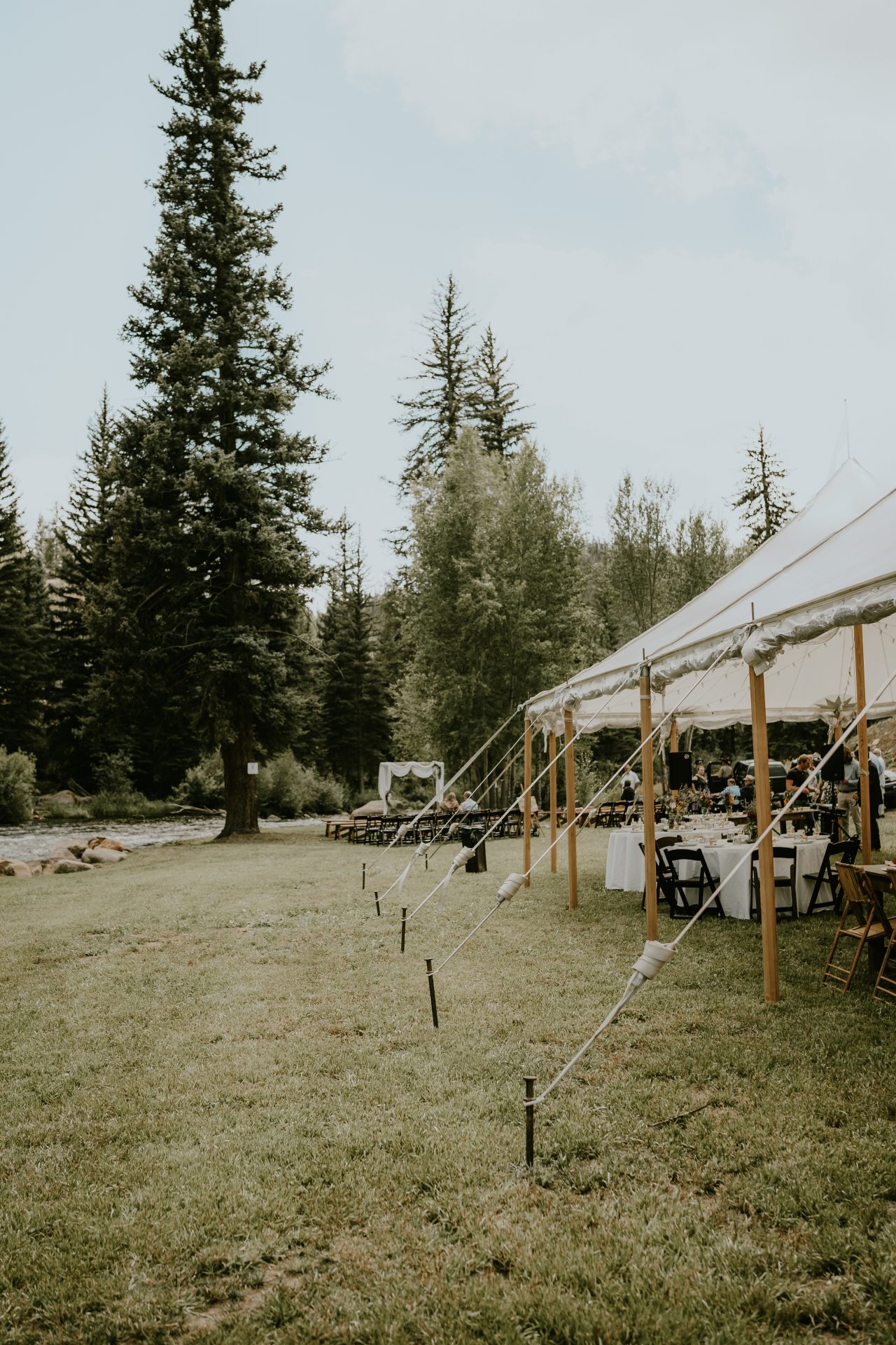 Wild and Wired Photography