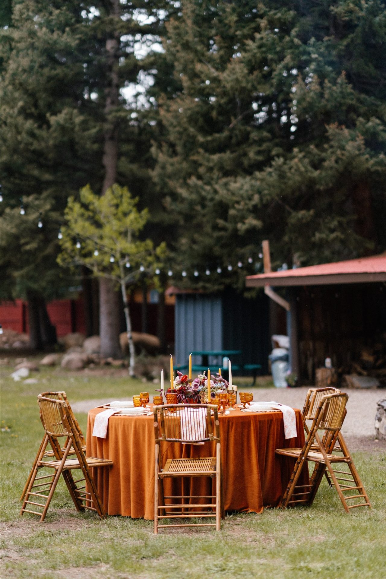 Whitney Rae Photography